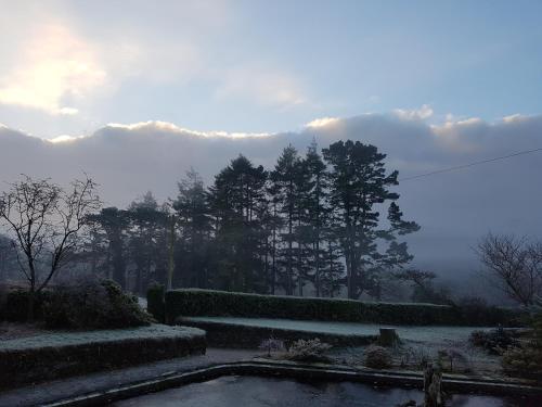 222214147 Great Trethew Manor Hotel & Self Catering Lodges