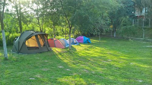 Mini-Camp SKELICA in Backa Palanka