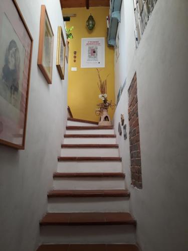  Casa Greta, Pension in Lucca