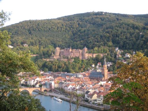 Neu Heidelberg - Guesthouse & Apartments