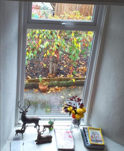 The White House Guest House - image 5