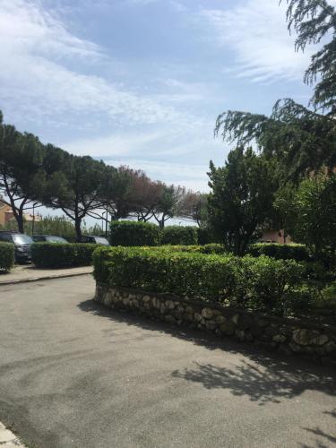  MINERVA in Deiva Marina