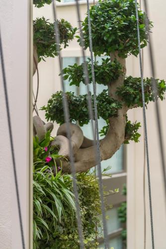 El Llorenc Parc de la Mar - Adults Only (+16)