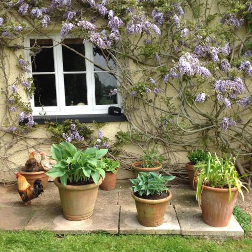 Beautiful Devon Farmhouse