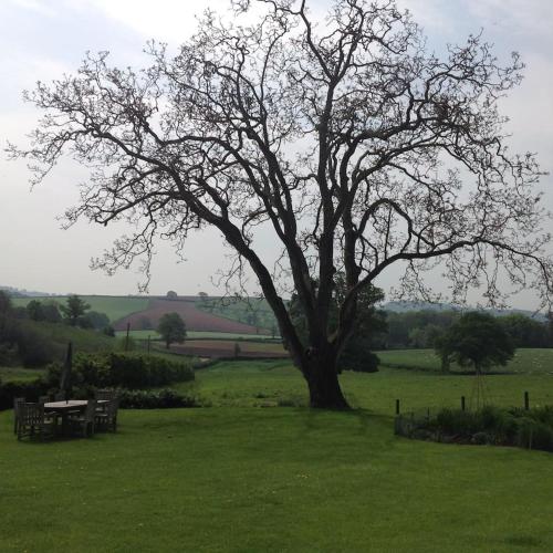 Beautiful Devon Farmhouse