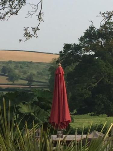 Beautiful Devon Farmhouse