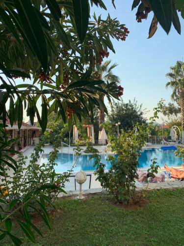 Camera doppia, vista sulla piscina
