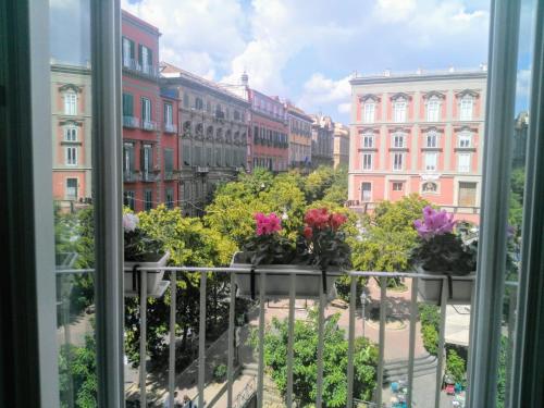 B&B Neapolis Bellini - image 2