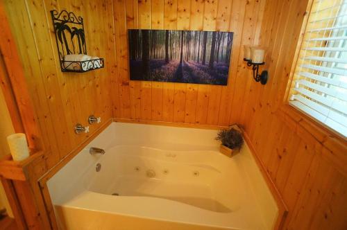 Oasis Cabin at Blairsville - image 7