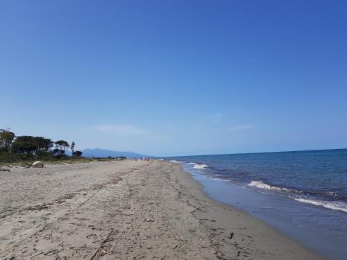 Chambre d'hôte Kalango proche de la plage-Piscine