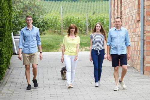 Vojtek Pince Vendégház - image 3