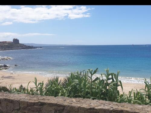 Villarolu