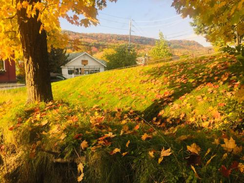 Le « Lake View » de la Suite North Hatley