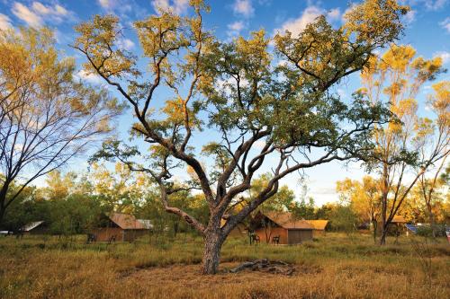 Bejárat, Bungle Bungle Wilderness Lodge in Purnululu National Park