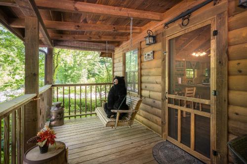Cozy Bear Free Attraction Tickets Hot Tub WIFI Fireplace!!! - image 3