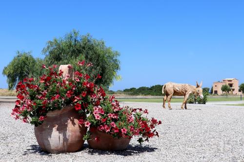  B&B Maliva in Soroni