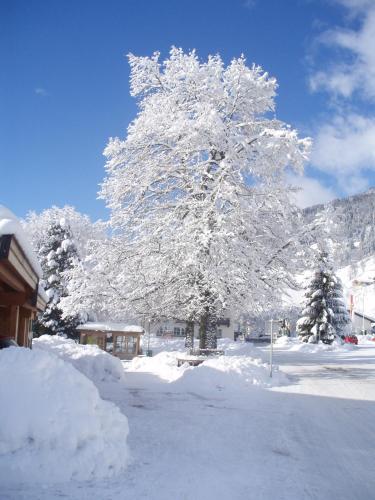  Haus Seifriedsberger in Bramberg am Wildkogel