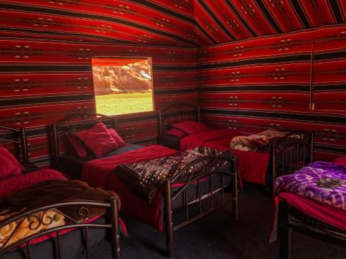 Desert Bird Camp