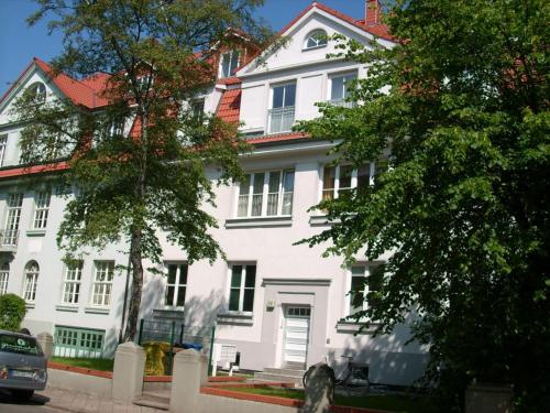 Seegras in Warnemünde, Deutschland