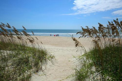 Dune Deck North - Duplex - image 6