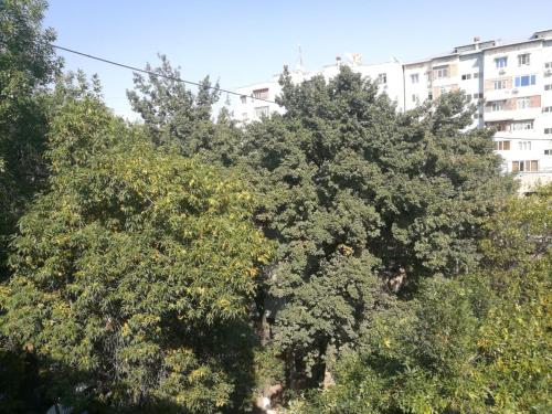 Apartment 2 bed room in the Center Апартамент 3-х комнатная в центре - Tap to explore photos