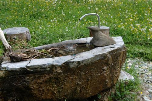  Riversong Centre Thermal in Les Plans-sur-Bex