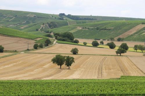 Entre Bourges et Sancerre, vacances relaxantes