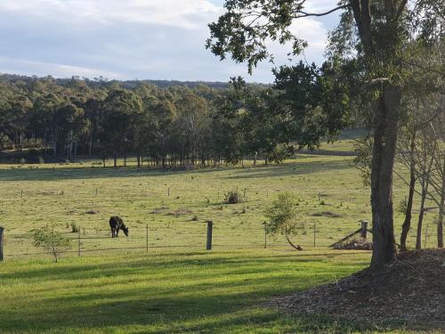 Charolais Cottage