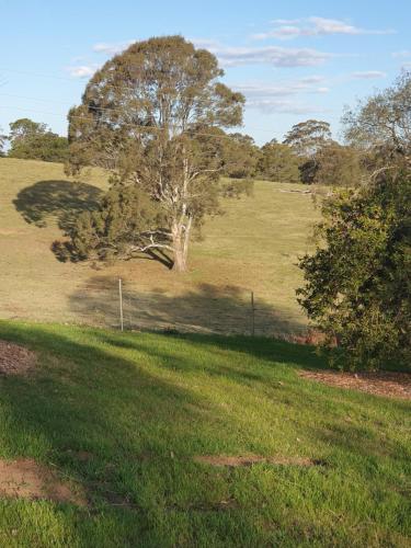 Charolais Cottage in Mowbray Park