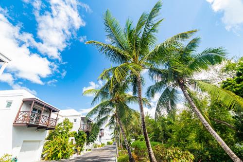 Studio 7 - Oceanfront Apartment