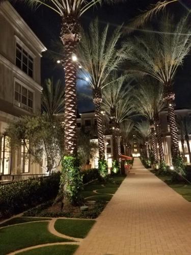 Penthouse Dreams in Rancho San Joaquin