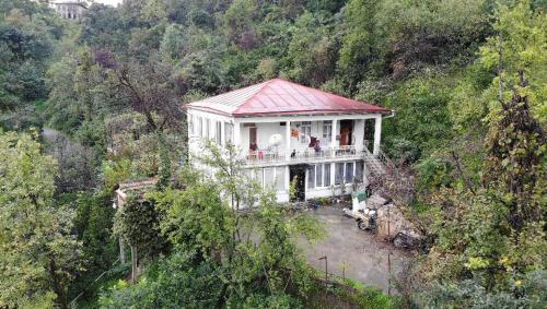 Guest house and cellar winery in Ortabatumi Batumi Georgia - Batumi