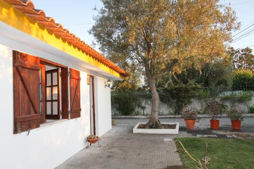  Quinta das Buganvílias in Azeitão