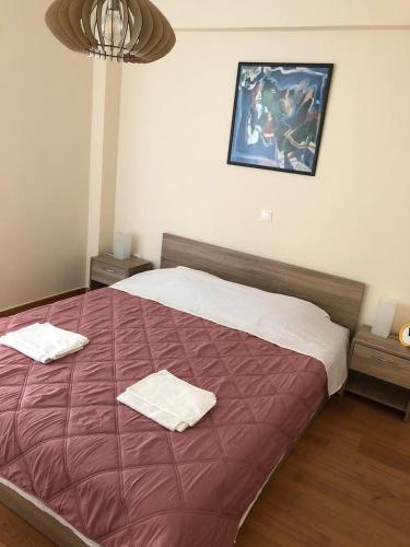 Thiseio Big Apartment, Athens (photo 4)