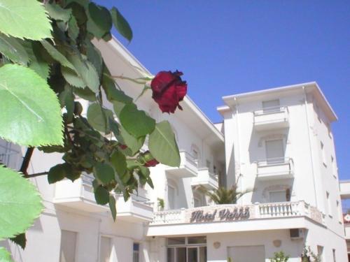 Hotel in Bellaria-Igea Marina