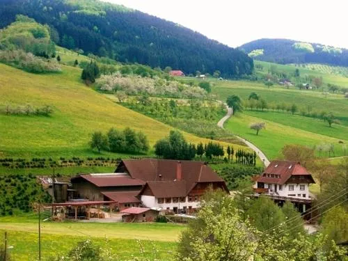 Lunzenhof in Oberharmersbach, Deutschland