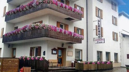 Hotel Erica - Accommodation - Folgaria