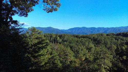 Cudderler's view - image 6