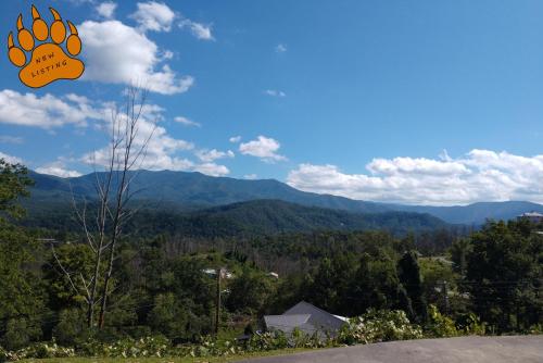 Bears Eye View