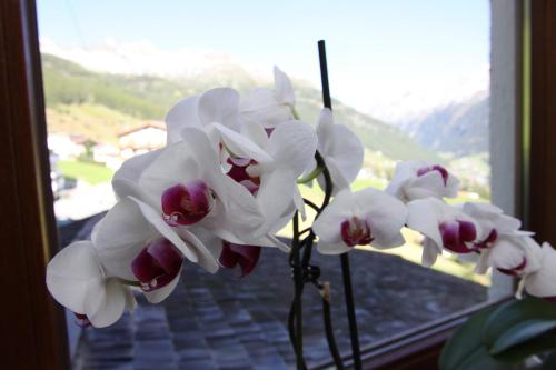 Haus Stefanie - image 10