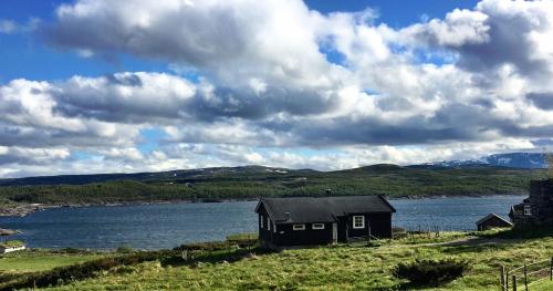 Kjøniksbu - 3 bedroom cabin - Ål