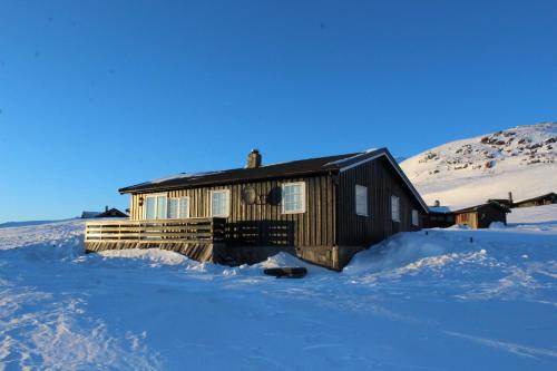 Kjøniksbu - 3 bedroom cabin - Ål
