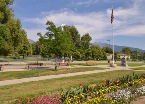 #17: Union Spruces - image 10