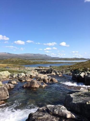 Actif 305 Apartment by Ål Ski Center (Actif 305 Apartment by Al Ski Center) in โอล