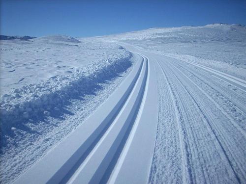 Actif 305 Apartment by Ål Ski Center (Actif 305 Apartment by Al Ski Center) in โอล