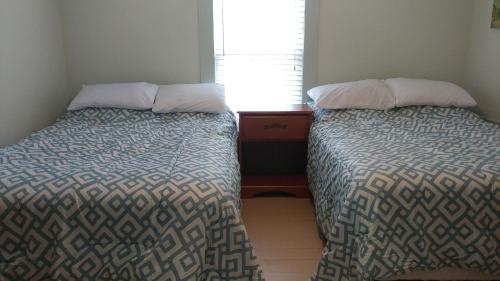 Aunt Jane's Guest House - image 4