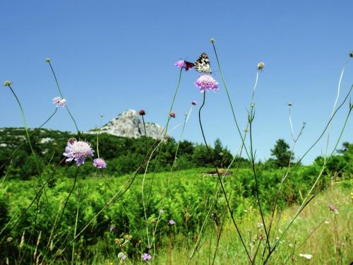 Quiet country side cottage near nature park Velebit