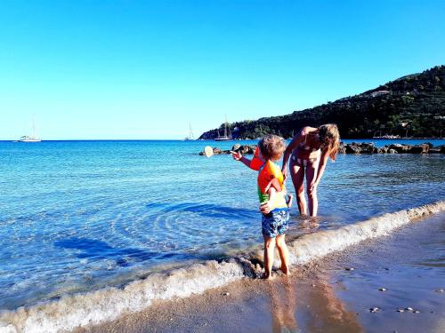  Zante Dahlia in Laganas