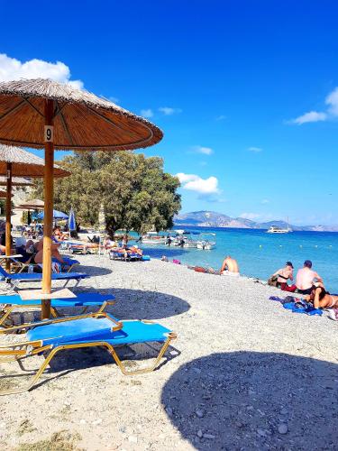  Zante Dahlia in Laganas