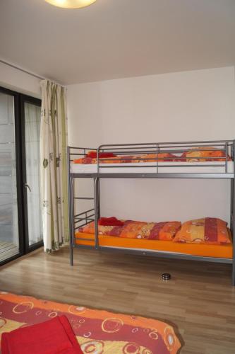 Apartments Klinovec - image 8